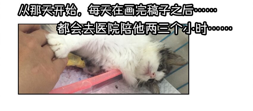 900 九百话纪念33