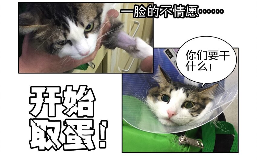 900 九百话纪念87