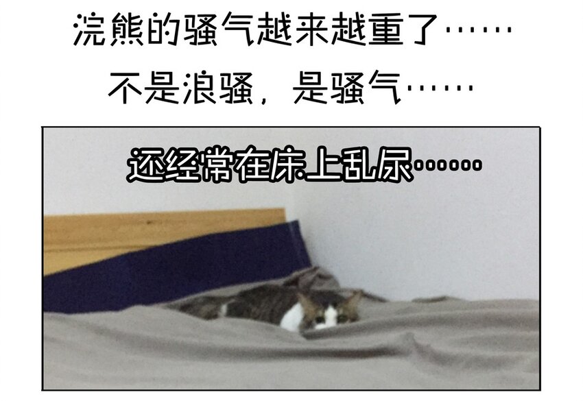 900 九百话纪念82