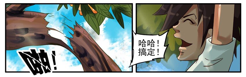 374 摘枇杷6