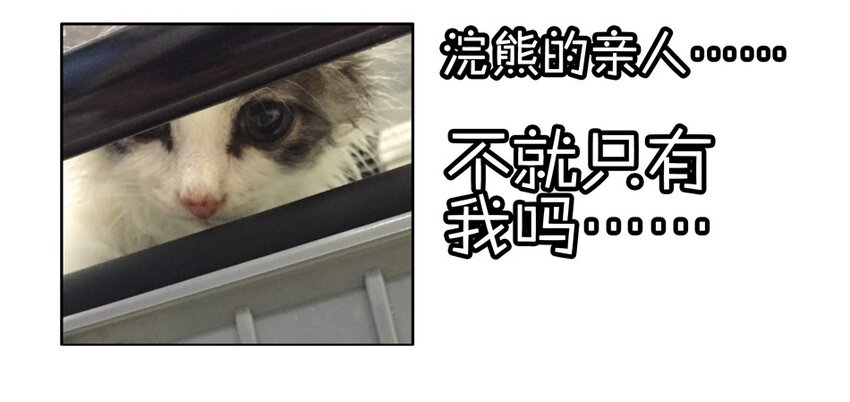 900 九百话纪念52