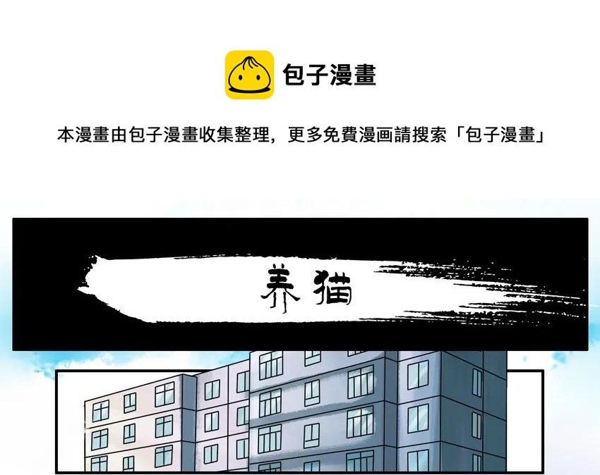 904 养猫0