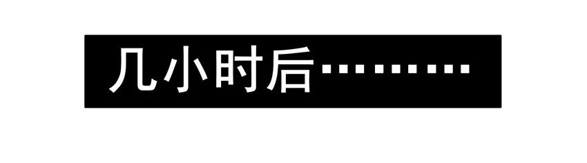 1563 好评10