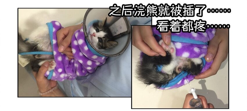 900 九百话纪念30