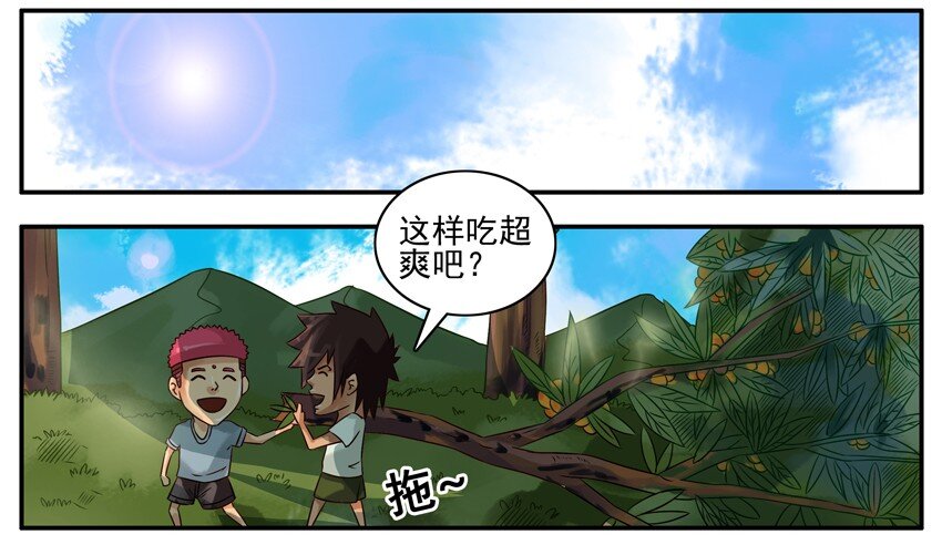 374 摘枇杷7