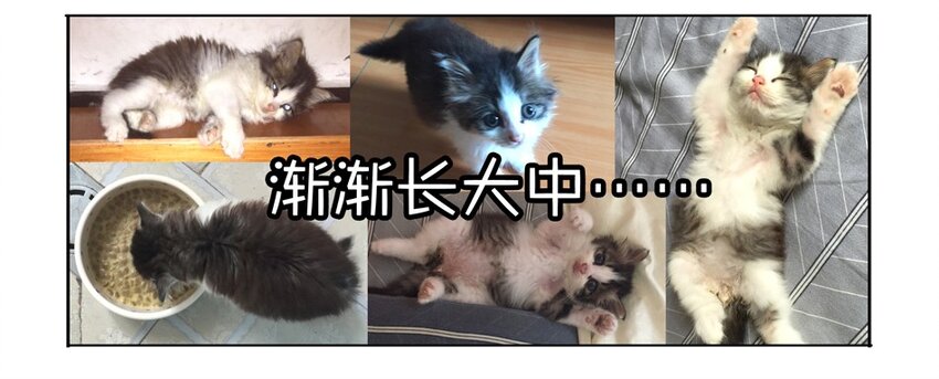 900 九百话纪念24