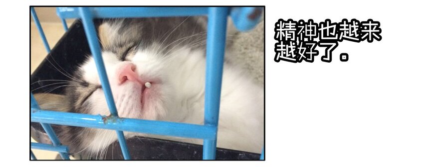 900 九百话纪念55