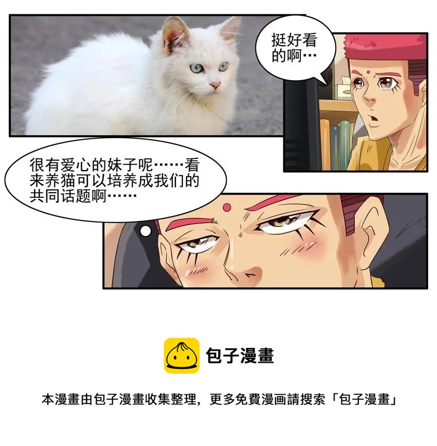 904 养猫8