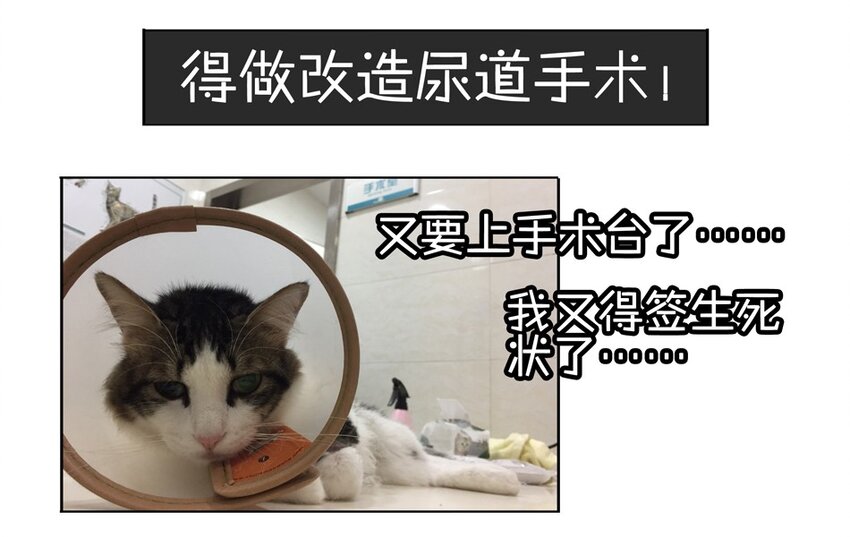 900 九百话纪念123