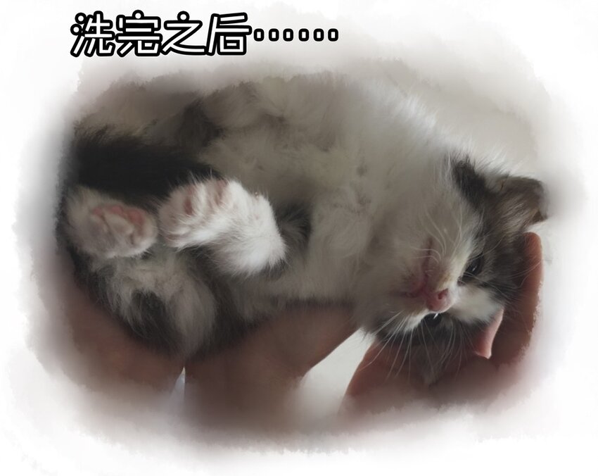 900 九百话纪念13