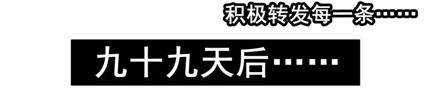 965 圈粉13
