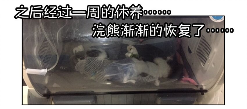 900 九百话纪念131
