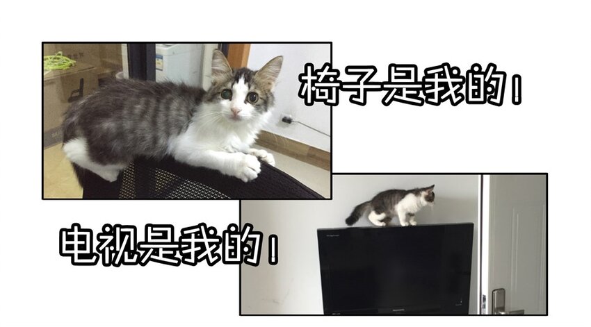 900 九百话纪念62