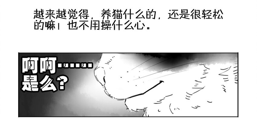 900 九百话纪念25