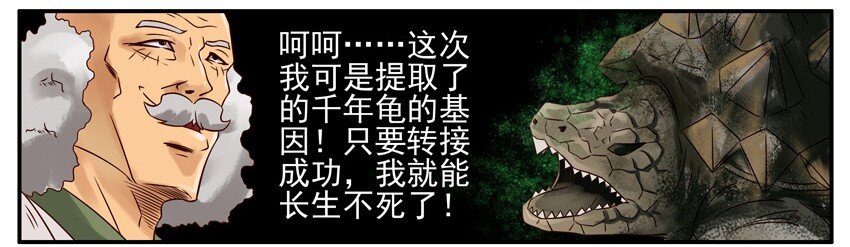 504 长寿8