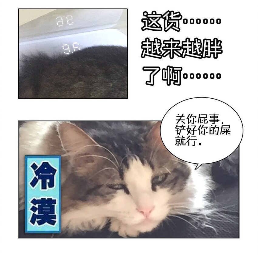 900 九百话纪念140
