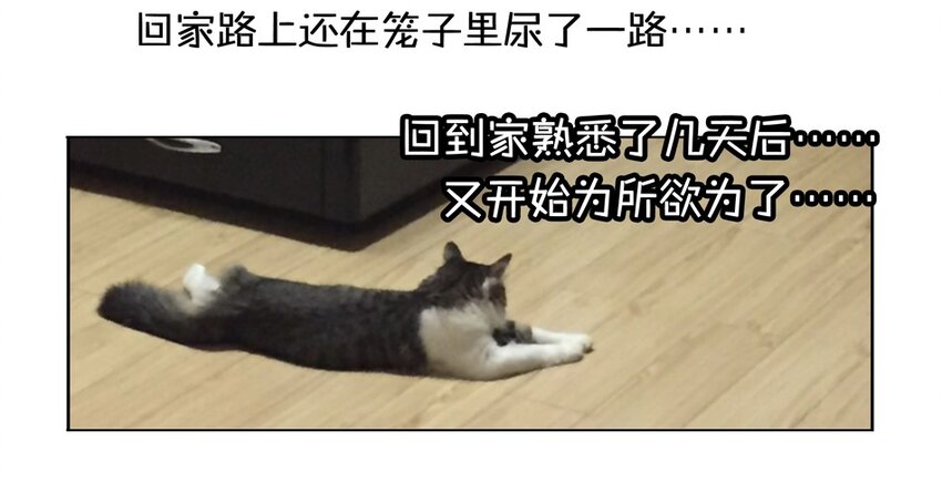 900 九百话纪念74