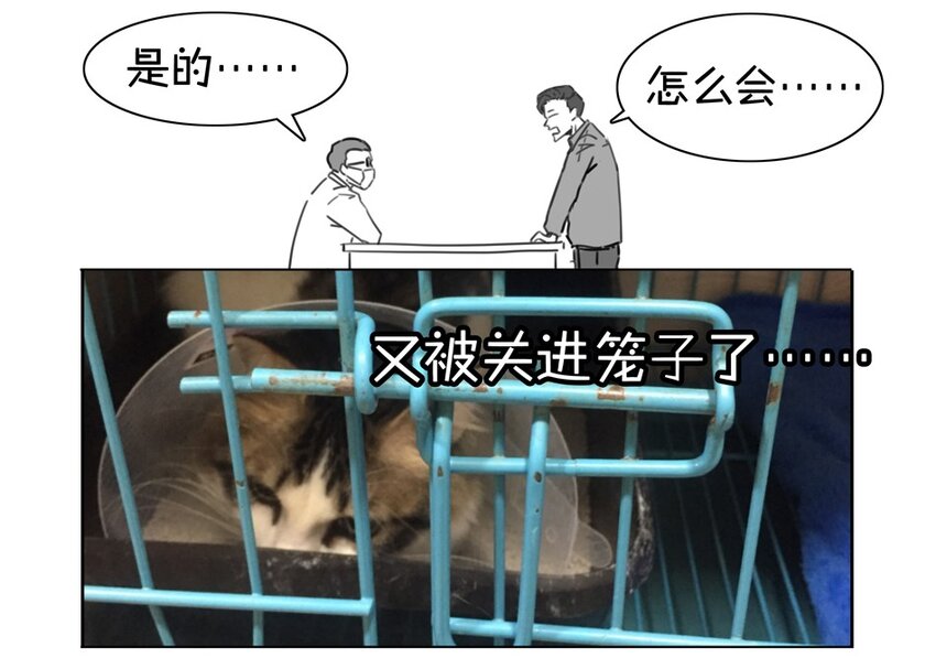 900 九百话纪念101