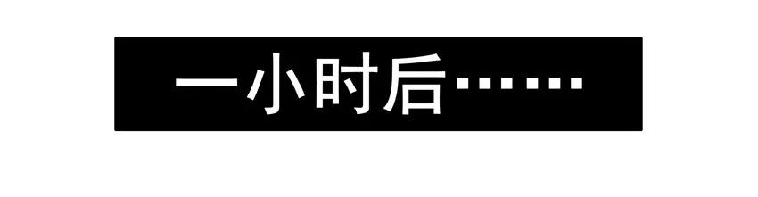 1137 放手13