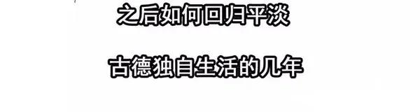 1446 前传预告38