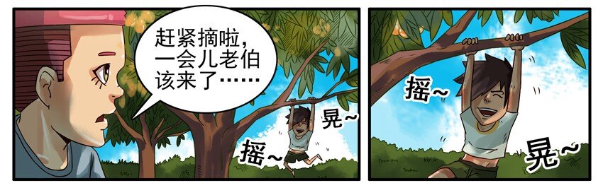374 摘枇杷3