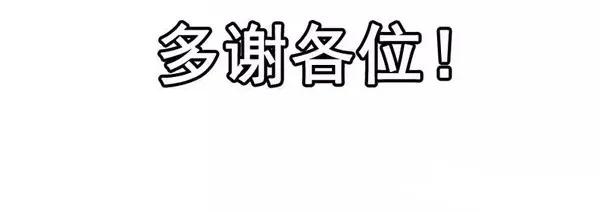 1446 前传预告46