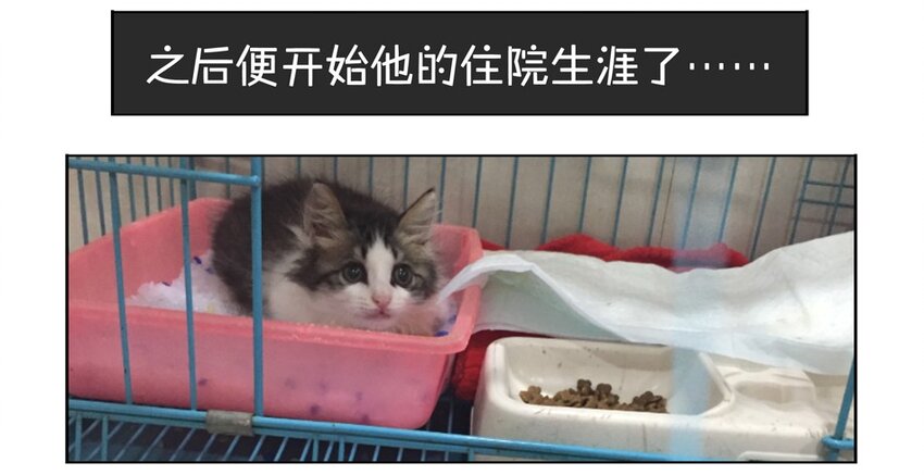 900 九百话纪念32