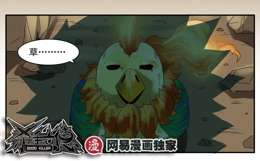 902 神鸡6