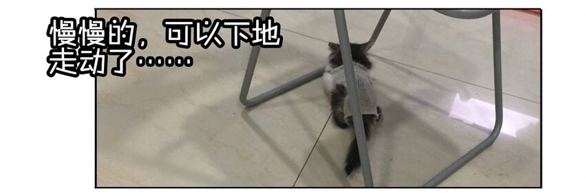 900 九百话纪念54