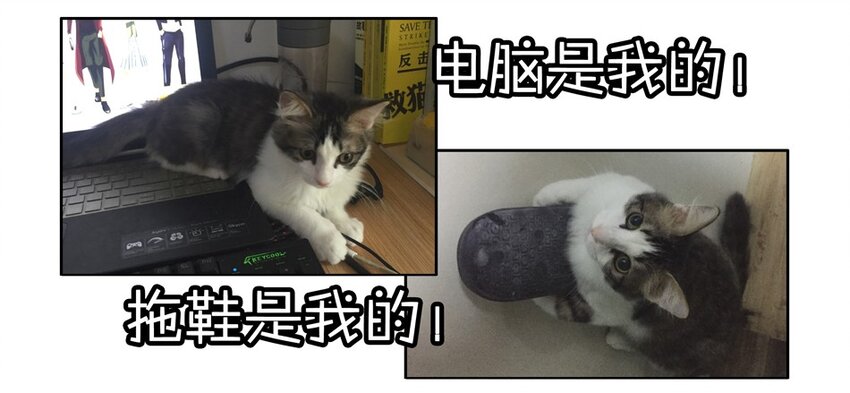 900 九百话纪念63