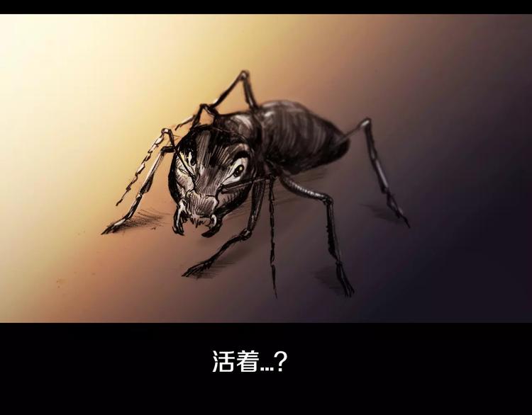 第0+1话 灾难来袭！！！55