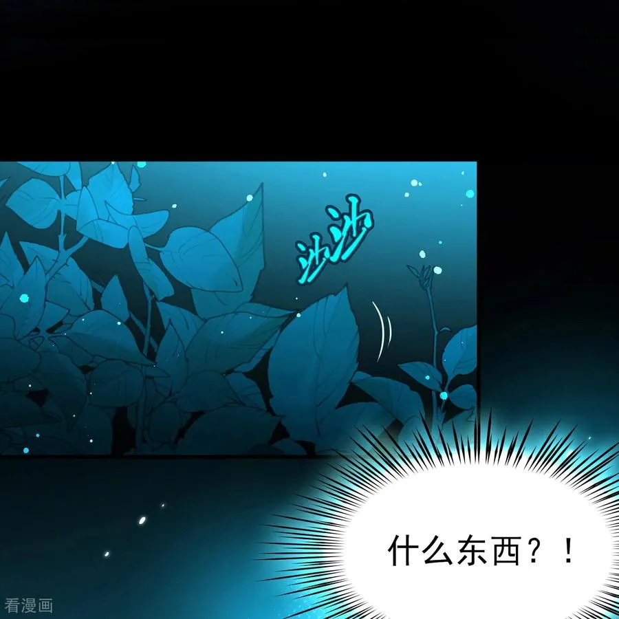 第2季第262话 精灵之国339