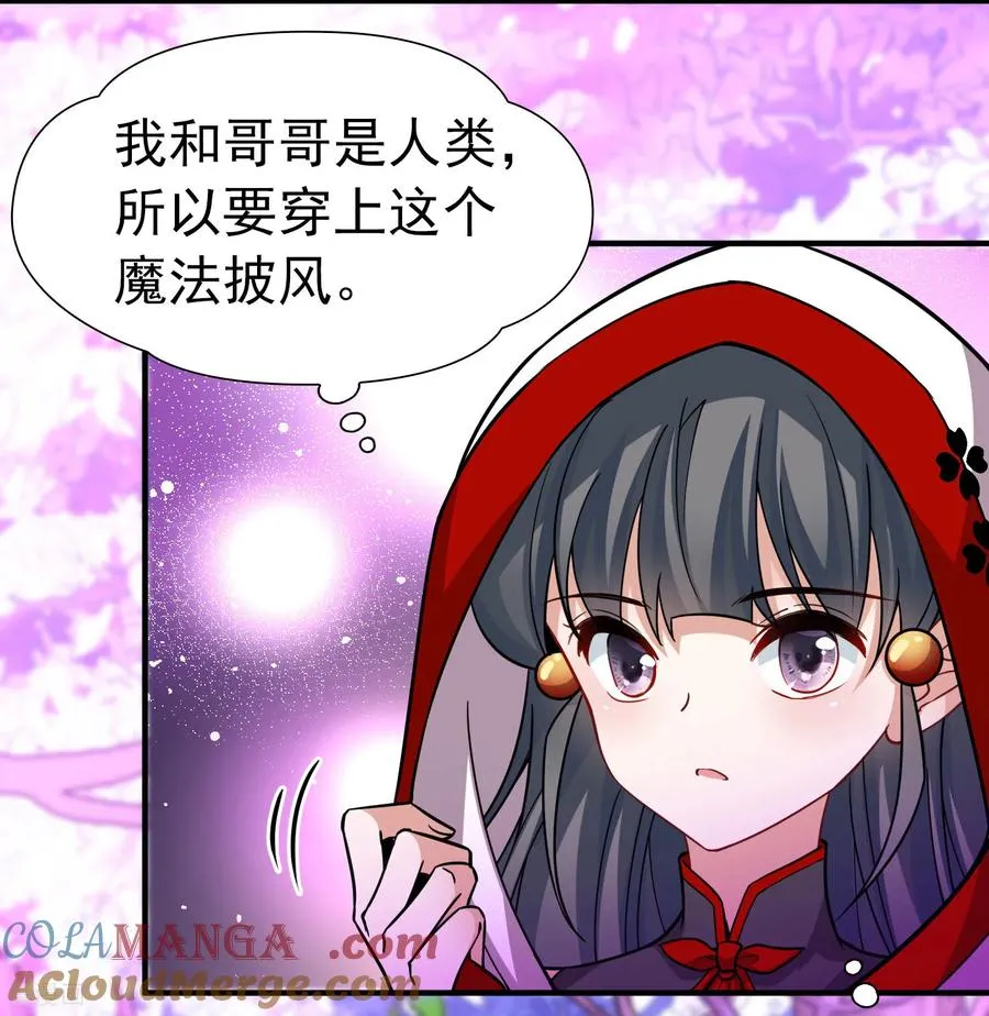 第2季第261话 精灵之国26