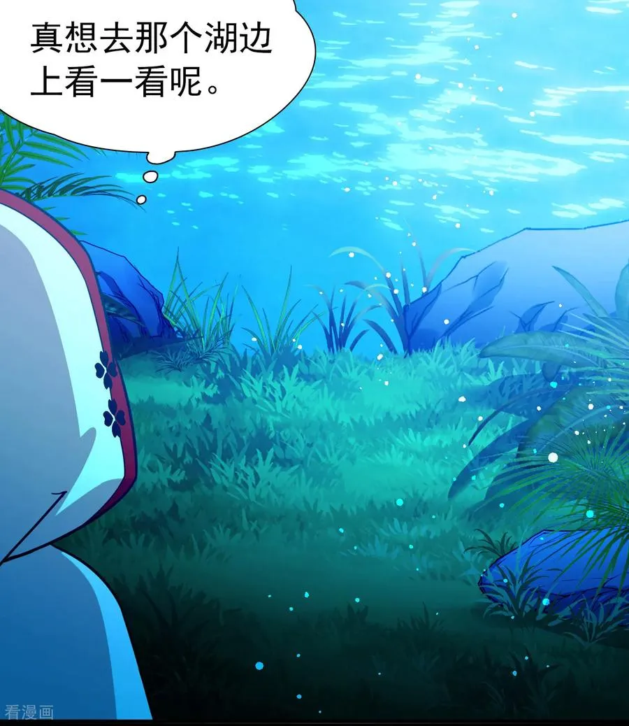 第2季第262话 精灵之国331