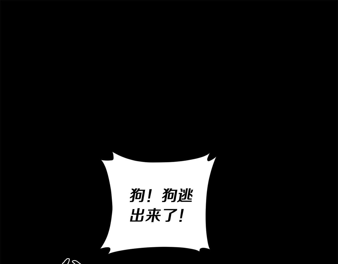 第52话 一次也没有17