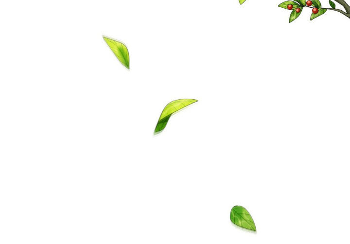 第58章：见面28
