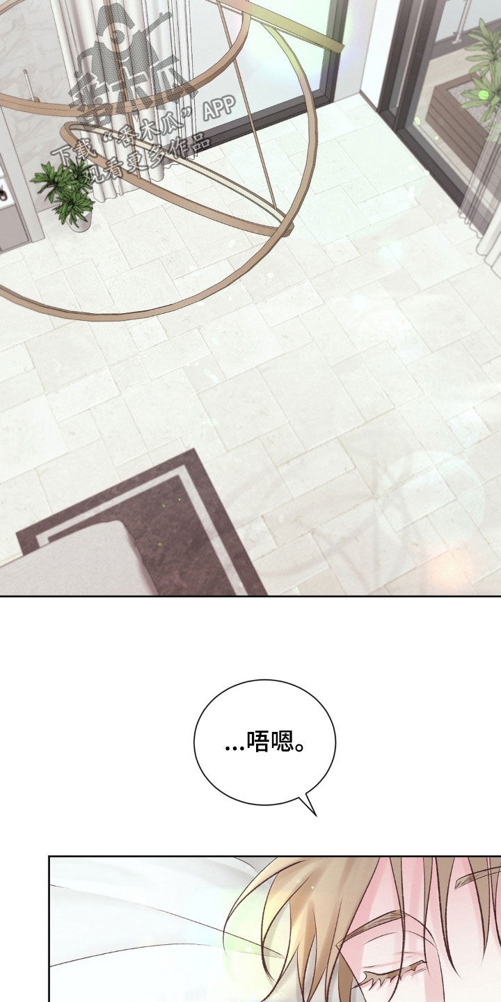 第56章：想不通3