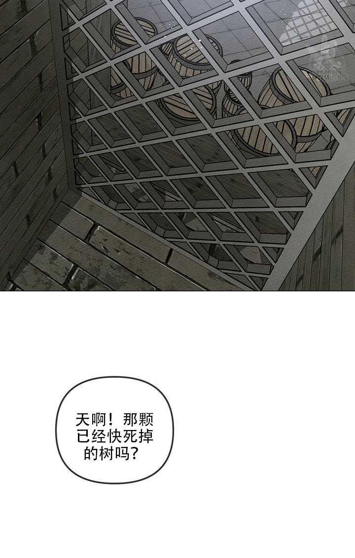 第19话1