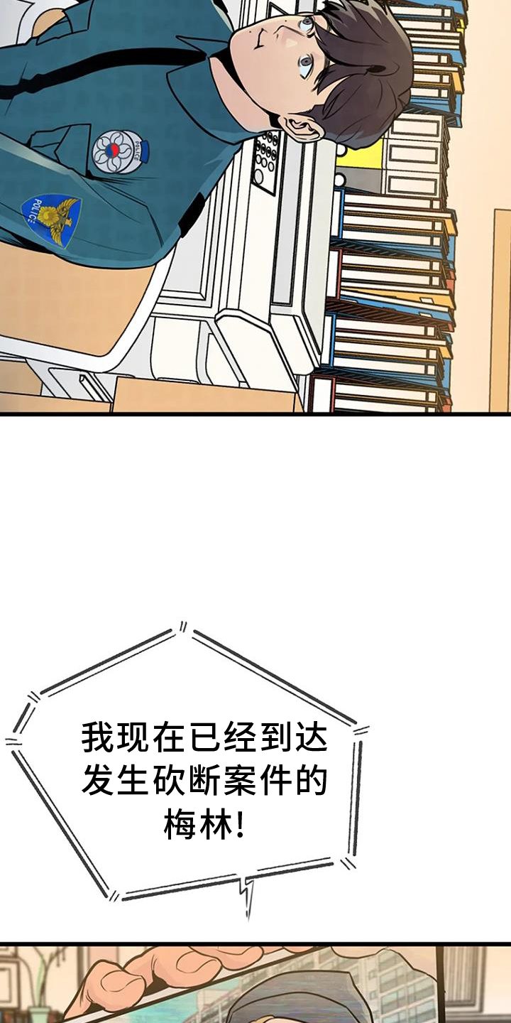 第61章：网络16