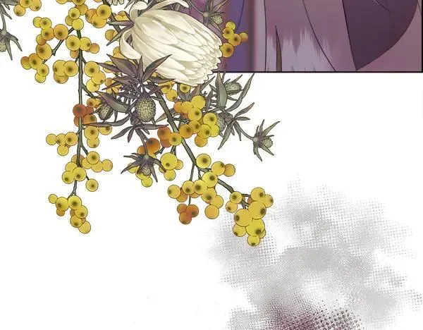 第120话 不想她难过77
