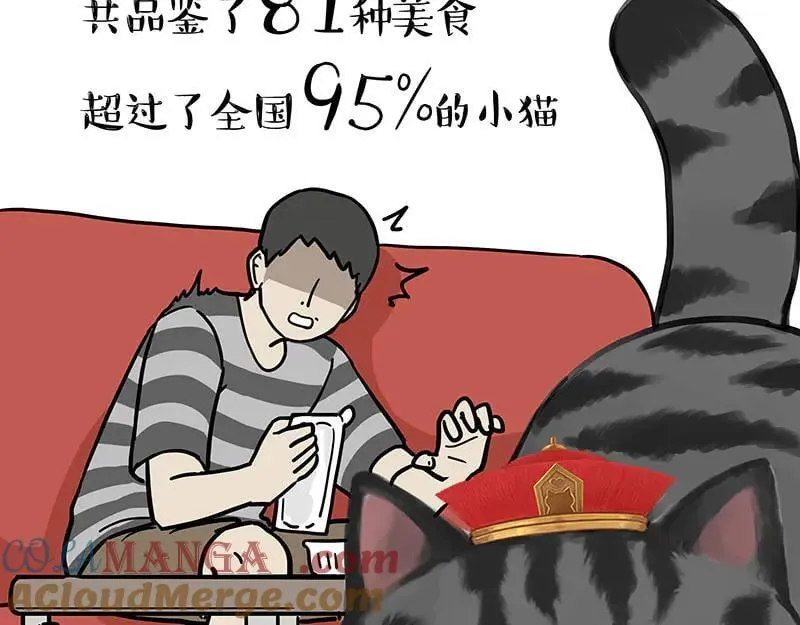 第456话 猫猫的年终总结3