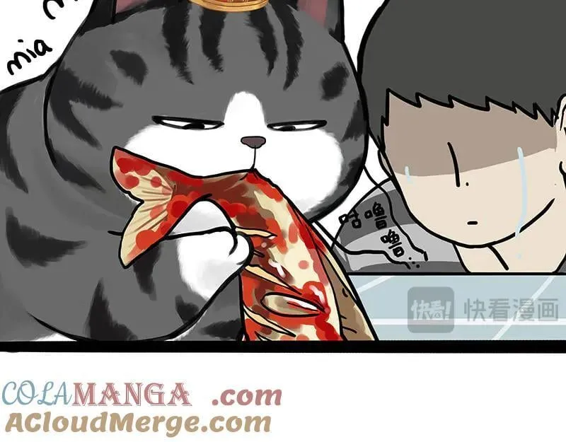 第456话 猫猫的年终总结6