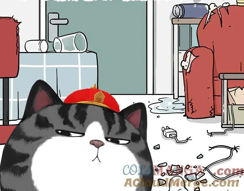 第456话 猫猫的年终总结1