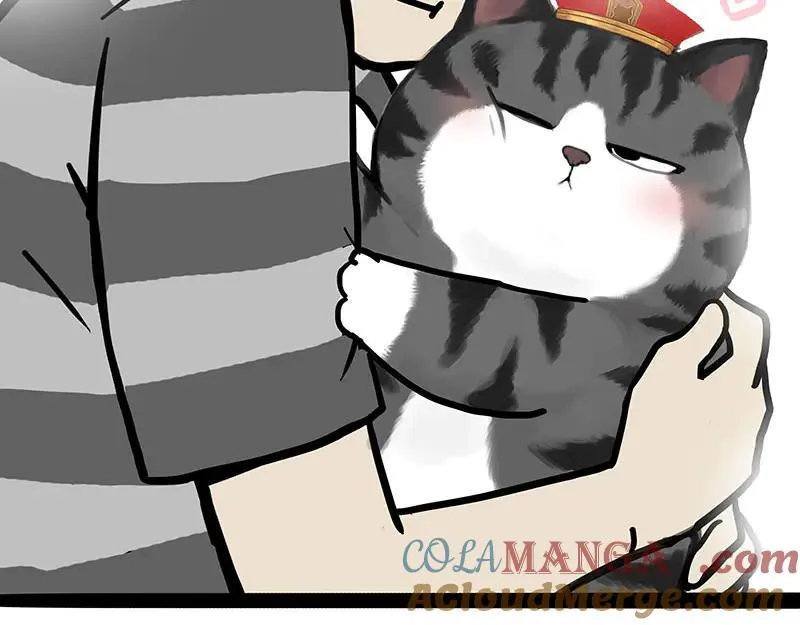 第456话 猫猫的年终总结11