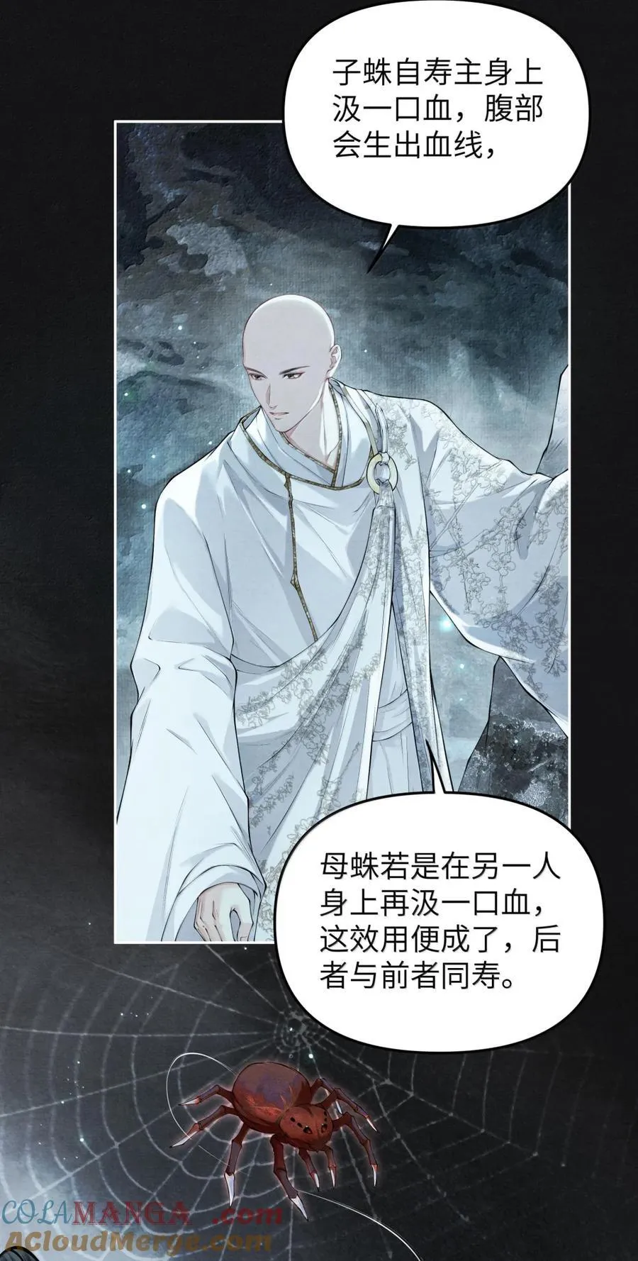 127 毒蛛18