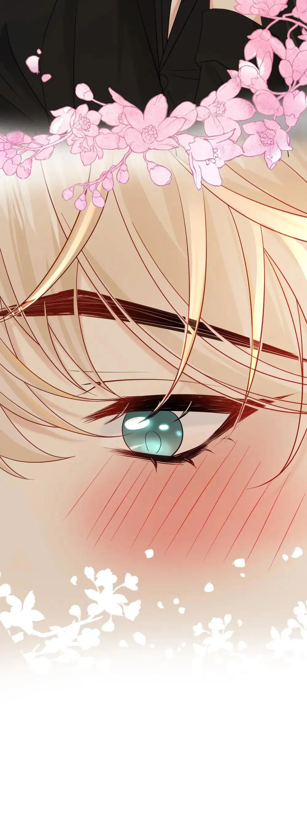 第456话 奖励23