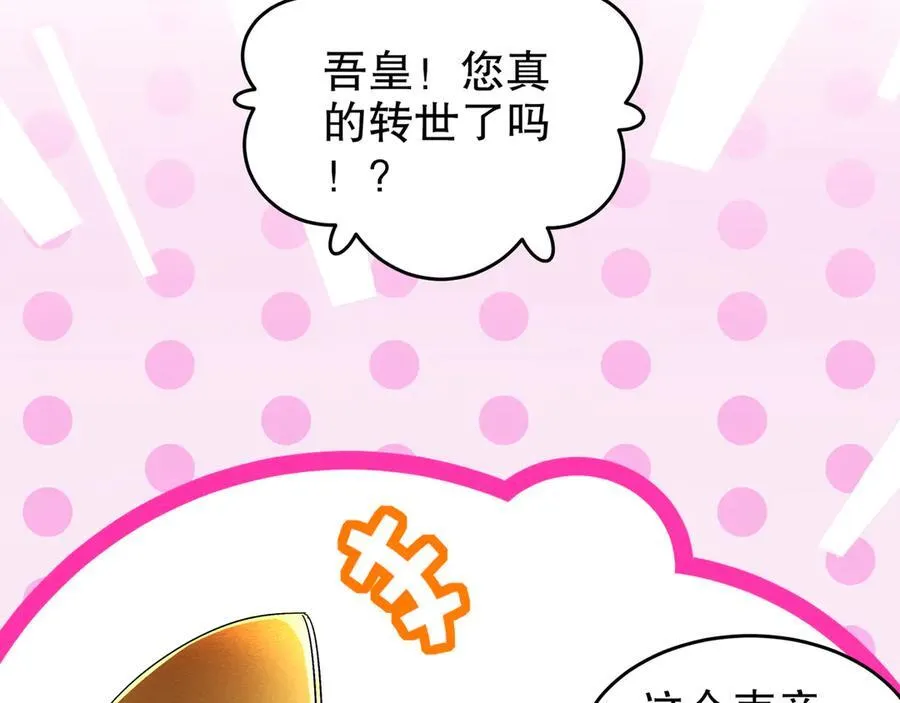 334-星辰辉芒盾38