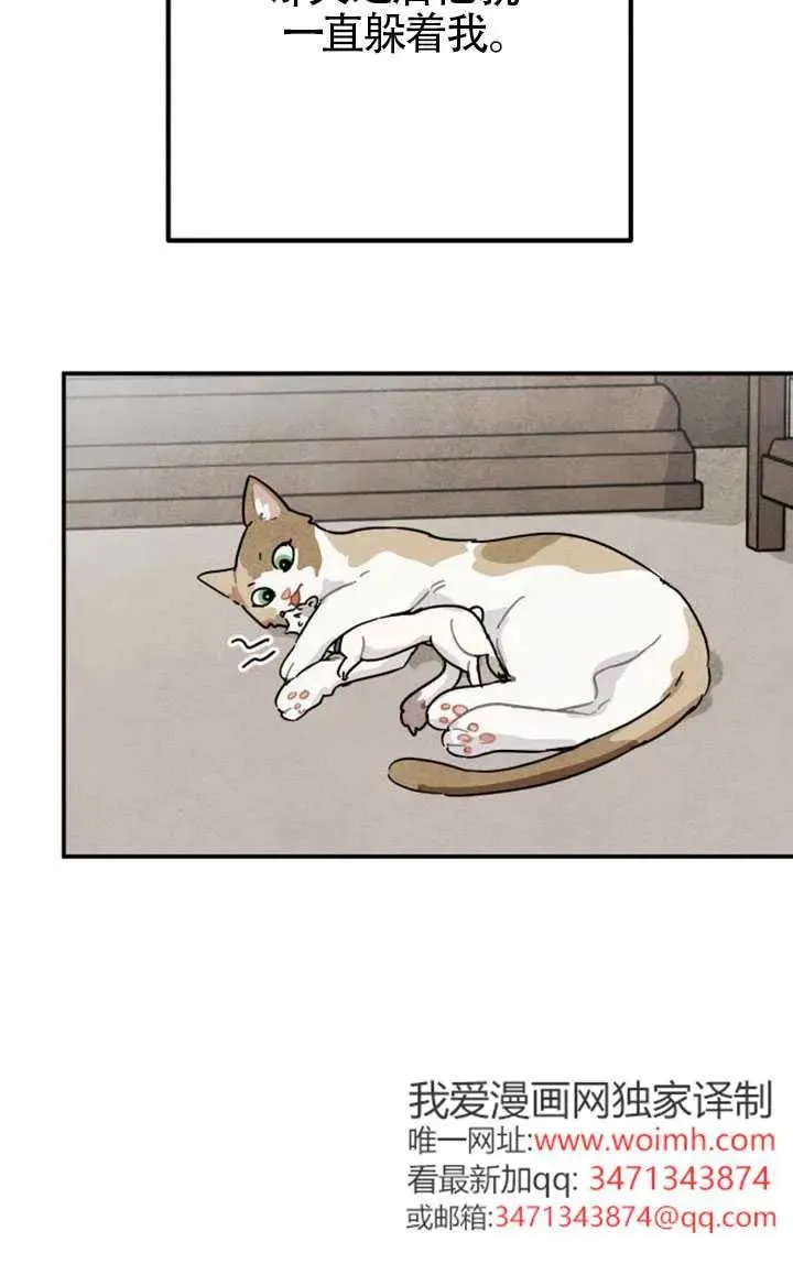 第85话54
