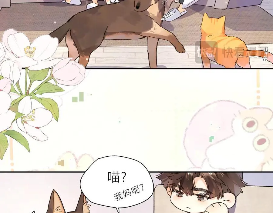 番外7 最近很忙？13