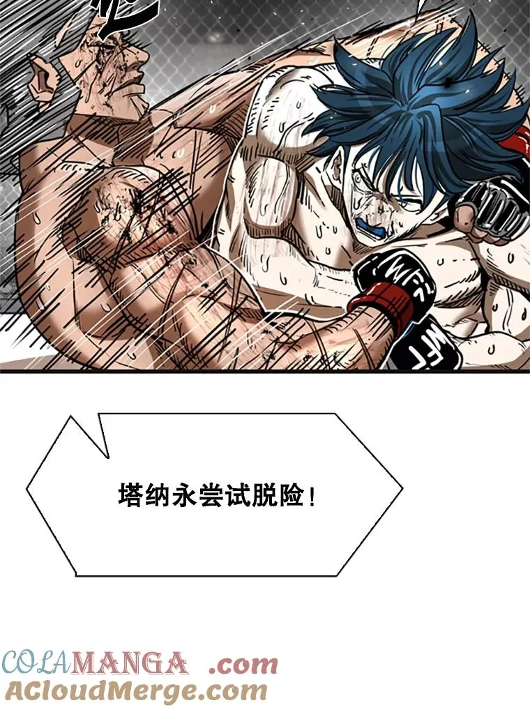 346.TKO胜利32